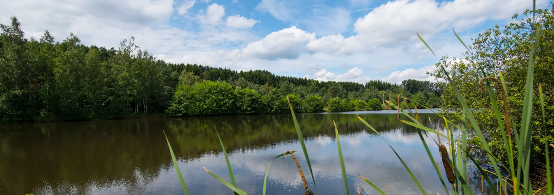 schwarzrinderseen_header_startseite-1