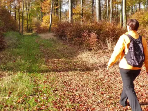 Hochwald Acht