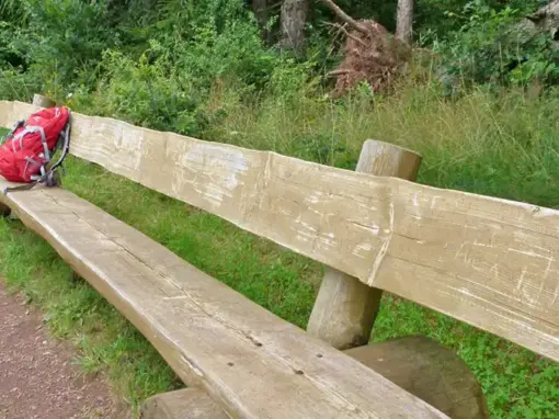 Hochwald Pfad
